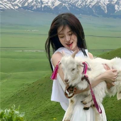 无敌飞金刚